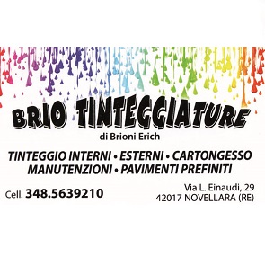 BRIO TINTEGGIATURE