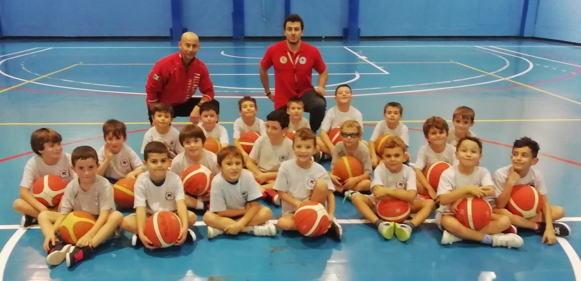 micro basket 19 20 ridotta